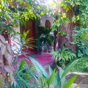  Homestay Gangula Eco